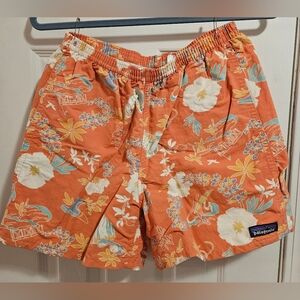 Patagonia Swim Trunks